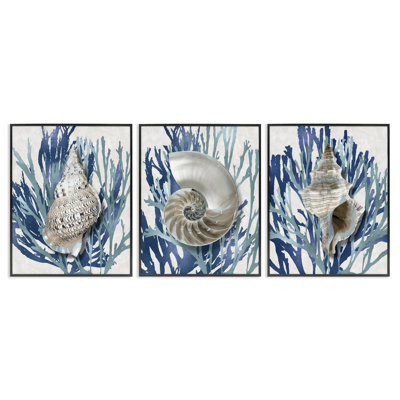 Trio of Shell Coral Blue Beach Design 3pc Black Framed Giclee Texturized Art Set by Caroline Kelly