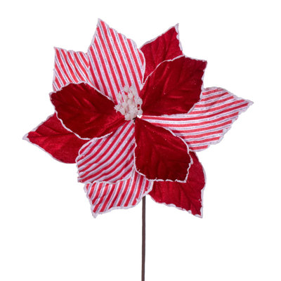 Poinsettia Arrangement