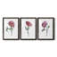 " Floral Contour I " 3 - Pieces Painting Print-1823776730-1823776731