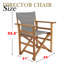 Folding Director Chair-395350859