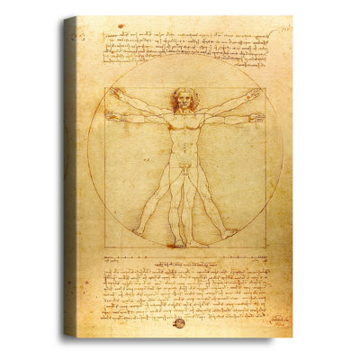 «The Vitruvian Man» par Leonardo Da Vinci. Reproduction d'art mondiale classique, estampes numériques pour décoration intérieure, cadre de gaufrage luxueux de style italien