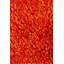 Tulip Red Area Rug-410591888-511149832