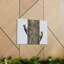 No Frame Print on Canvas-887198241