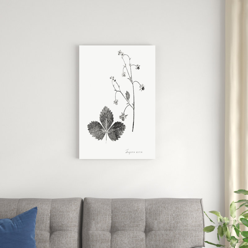Impression botanique IV, H 30 po x l 20 po x P 1,25 po