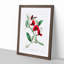 Red Tangier Pea Flowers - Framed Print-55616676-55616675