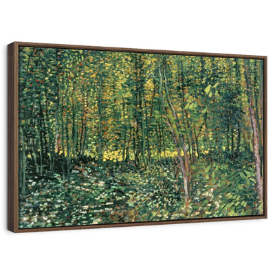 Arbres et sous-bois