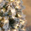 5.91' H Lighted Artificial Spruce Christmas Tree