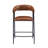 Cidni Counter Stool Set
