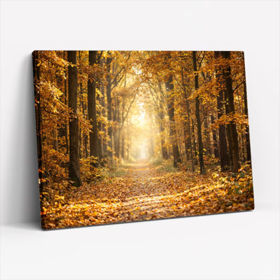 Ensemble de 1 tableau sur toile tendue représentant un chemin forestier d'automne