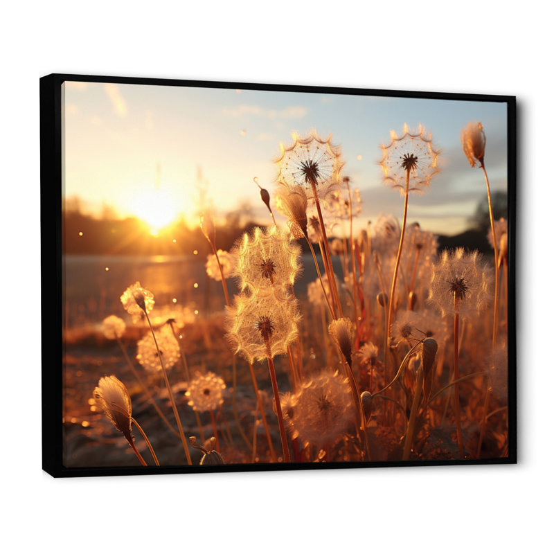 Coucher de soleil pissenlit champ II - art mural floral salon, H 34 po x l 44 po x P 1,5 po, Cadre flottant noir