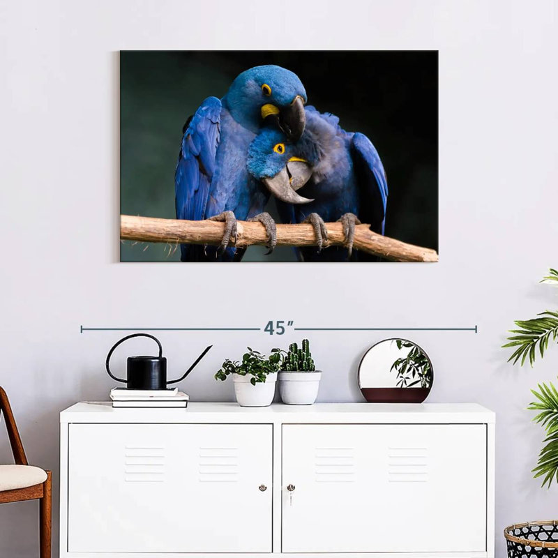 Hyacinth Blue Macaws, 24" H x 36" W