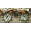 Wauregan Cotton Checkered Square Napkin-698310223
