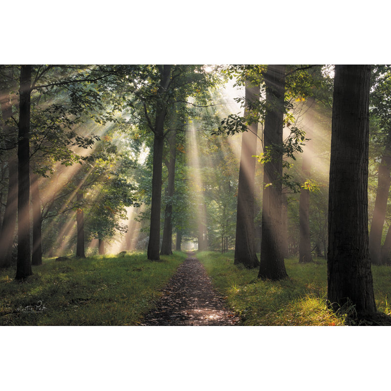 «Signs Of Angels On Canvas» par Martin Podt, reproduction, H 24 po x l 36 po x P 1,25 po