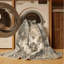 Tapis de culture-1615042526
