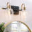 Aedan 2 - Light Dimmable Vanity Light