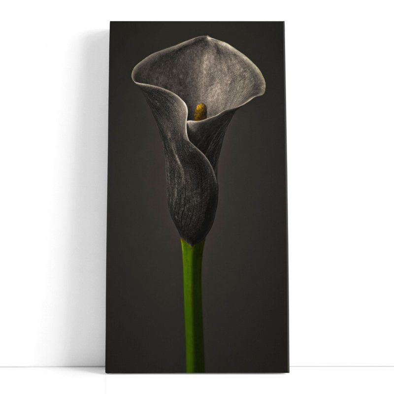 Calla Lilies 1 - reproduction d'art sur toile, H 60 po x l 30 po