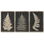 Linen Fern I - ensemble de 3 reproductions sur toile-15951350-15951336