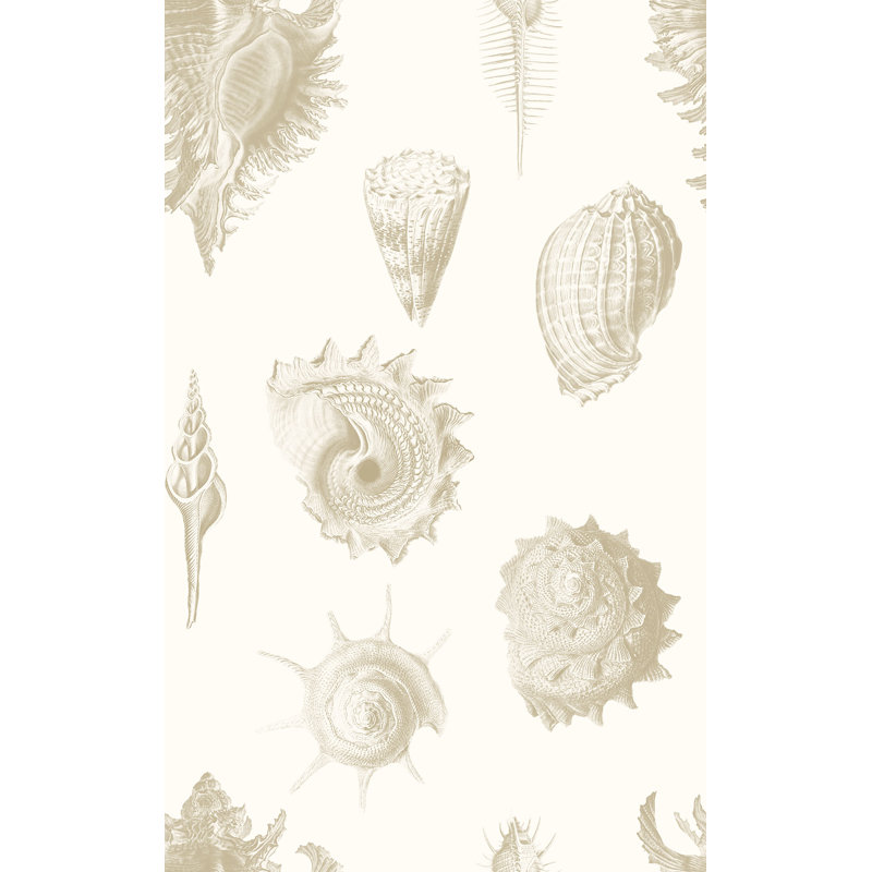 Rouleau de papier peint L 33 pi x l 20,5 po Fossils de Yuki Osada, Brun clair