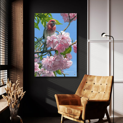 'Spring Glory - House Finch' by Mark Mueller Wildlife Art, Acrylic Glass Wal Art