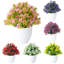 Centre de table fleurs en pot-232208211