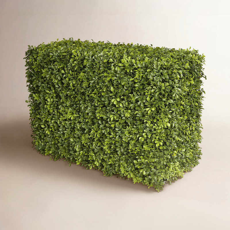 Hedge, 21" H x 13" W x 30" D