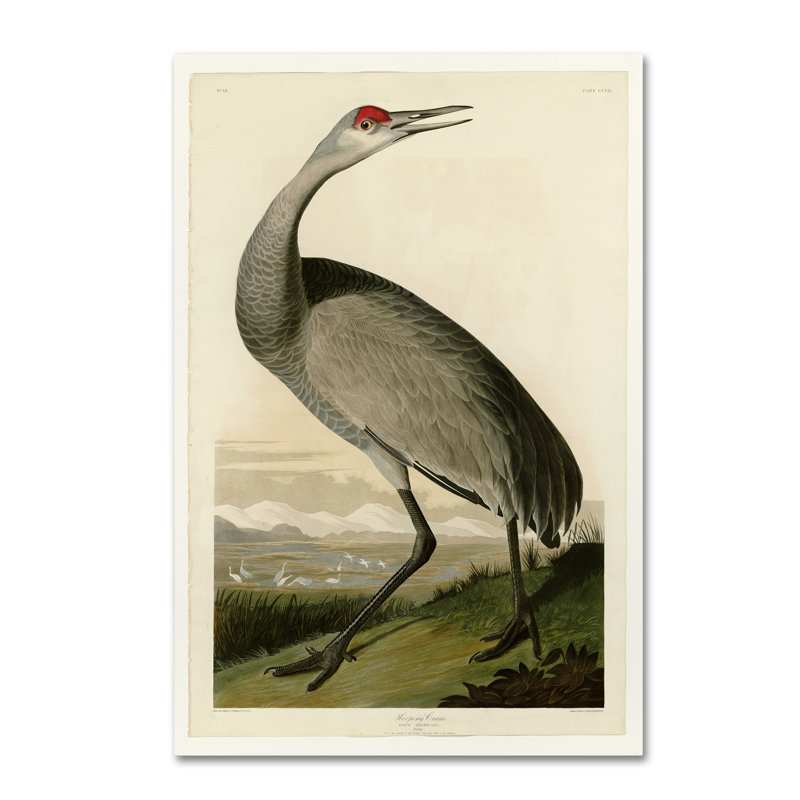 « whooping craneplate 261 », reproduction sur toile tendue, H 24 po x l 16 po