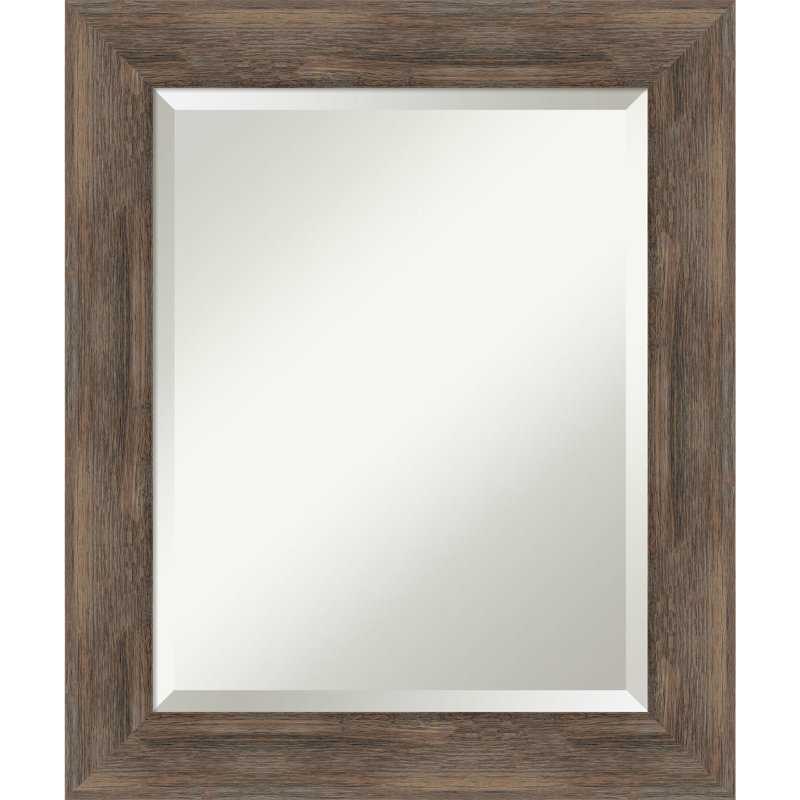 Modeste Flat Mirror, Matte Brown, 28.75" x 40.75"