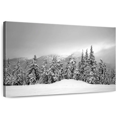 Paysage d'hiver Alvord Whistle
