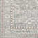 Everly Oriental Indoor Rug