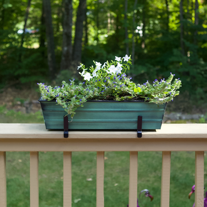 Pot à fleurs en acier galvanisé Paxico, Vert, H 2 po x l 6 po