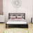 Metal Platform Bed with 2 Drawers-1514307475