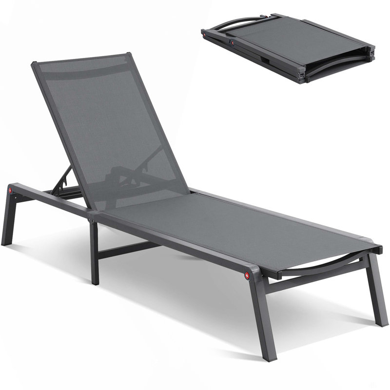 Chaise longue de bronzage pliable 2PCS, Gris foncé, noir