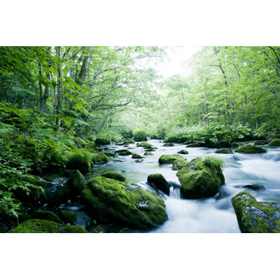 Mountain Stream by Ooyoo - Wrapped Canvas Print