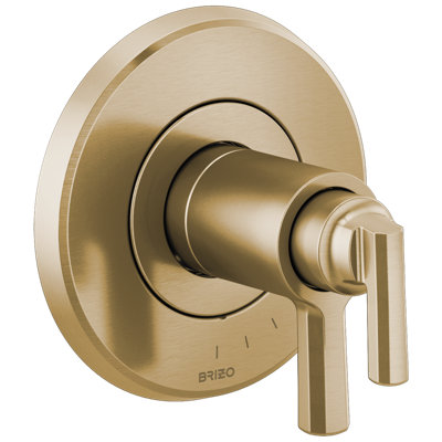 Levoir® TempAssure® Thermostatic Valve Only Trim