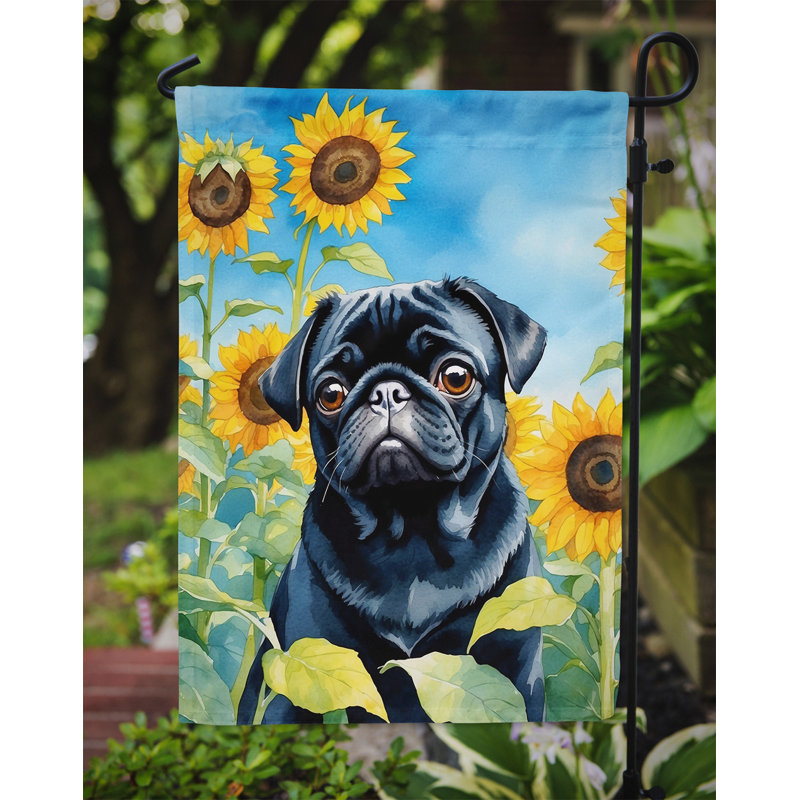 Lévrier irlandais dans le drapeau du jardin de tournesols, Pug noir