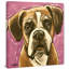 Boxer Cam 1 Piece Wrapped Canvas Painting-1452330282
