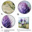 Champ de fleurs de chardon mauve - chardon, art mural-1995228620-1995228465