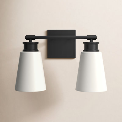 Earnest 2-Light Dimmable Vanity Light in Matte Black