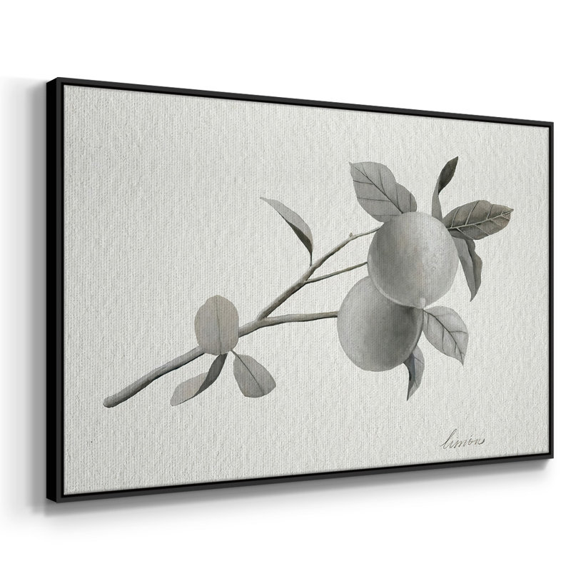 " Limonero II ", 25" H x 37" W x 2" D, Black Framed