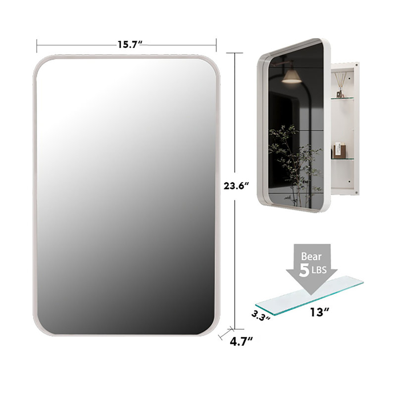Miroir d'armoire à pharmacie mural Erical l 15,7 po x H 23,6 po