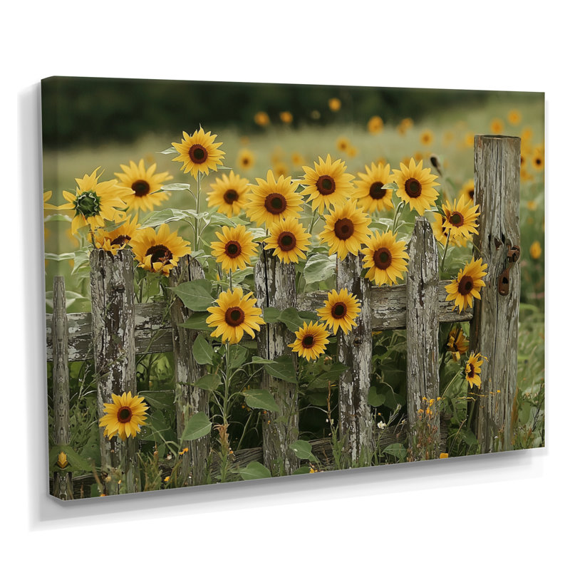 «Draxler Sunflowers And The Farm Fence II - Sunflowers», art mural sur toile, H 30 po x l 40 po, Ne pas appliquer