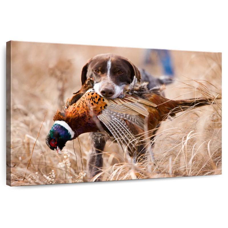 Senne Dog Retrieving Pheasant, 24" H x 36" W