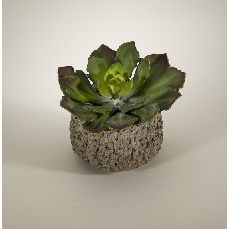 Faux Succulent Plant in Concrete Pot