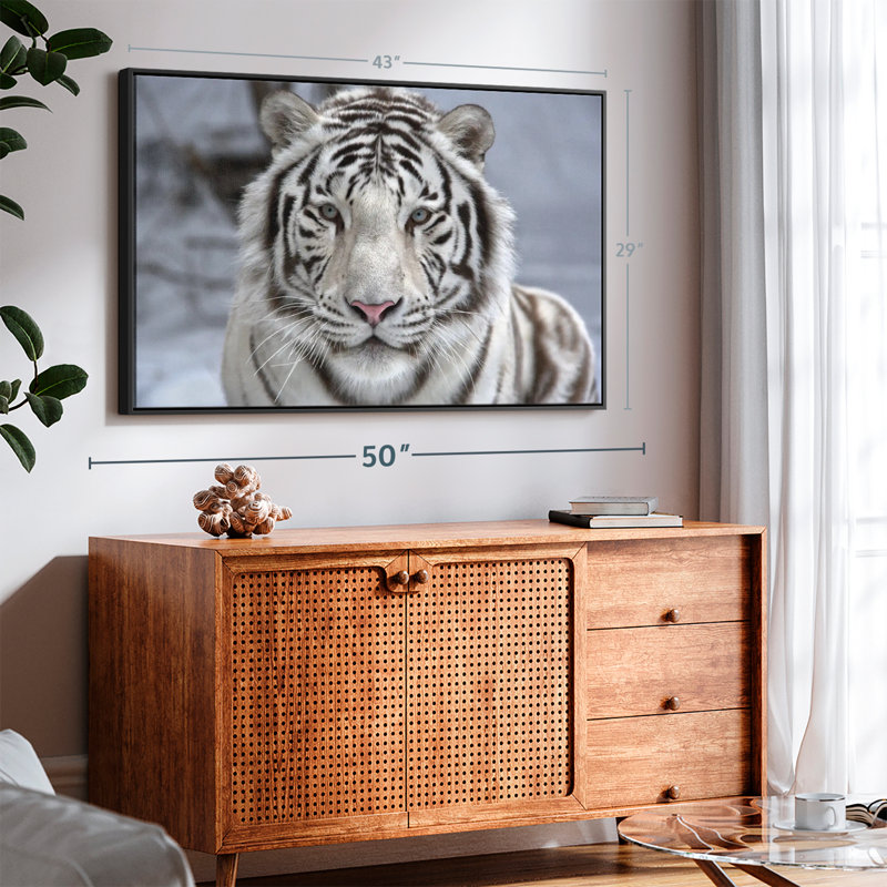 Animal «Endangered White Tiger», reproduction sur toile, H 29 po x l 43 po