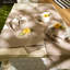 Nappe Jakeway-1314678428