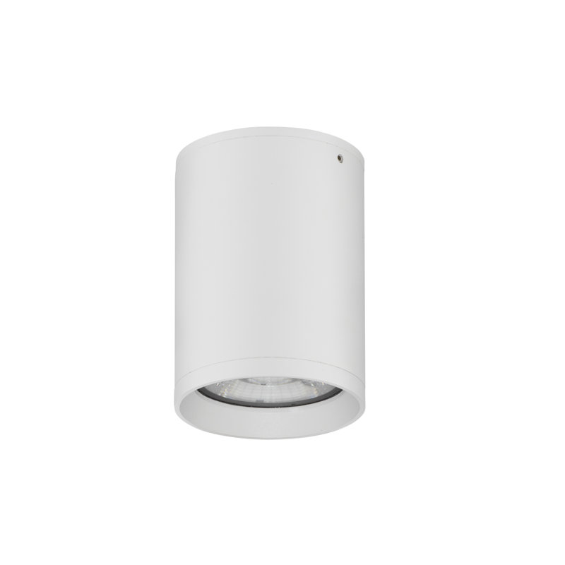 LED Outdoor Flush Mount, White