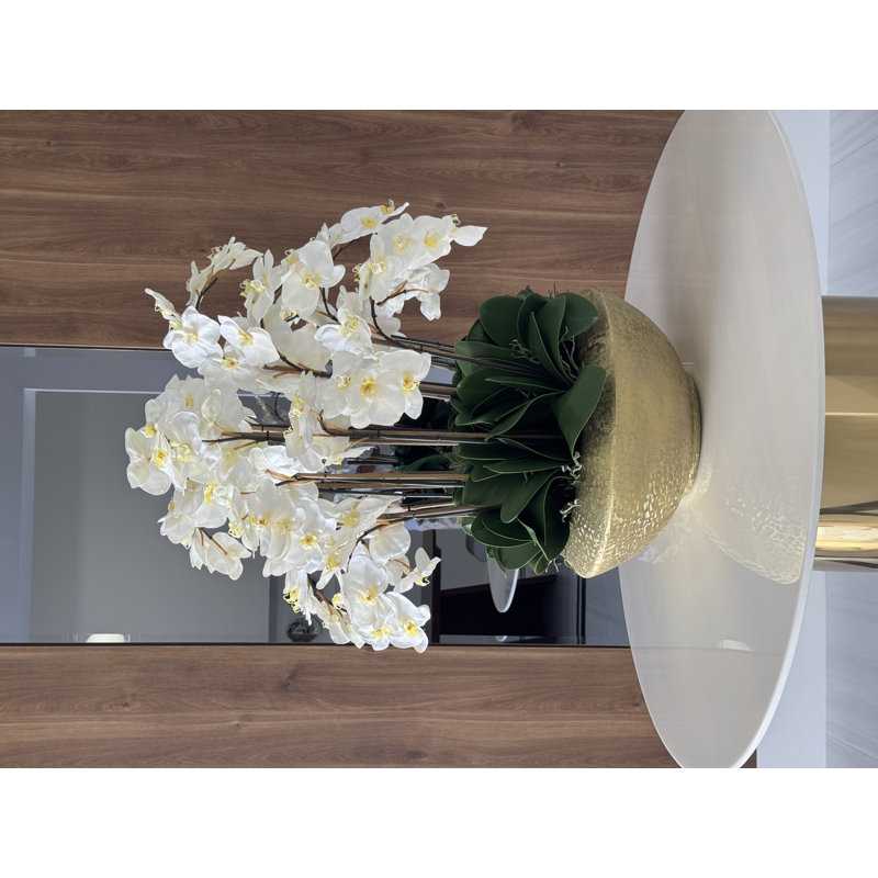 Blaze Bowl With Phalaenopsis Orchids, White