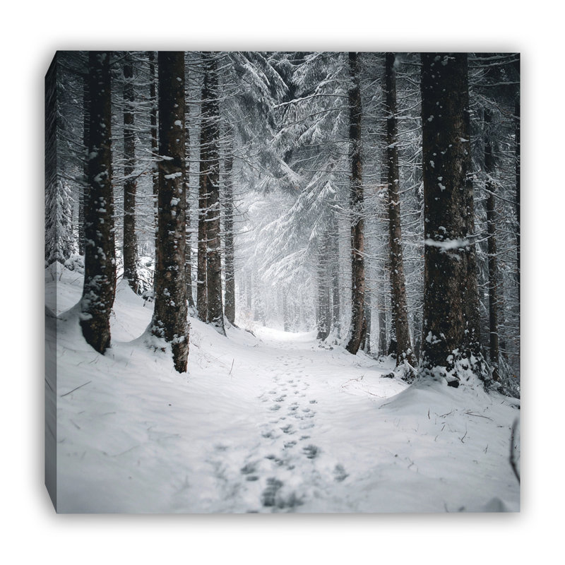 «Quiet Snow Forest Trail», art mural sur toile tendue, 20 po x 20 po