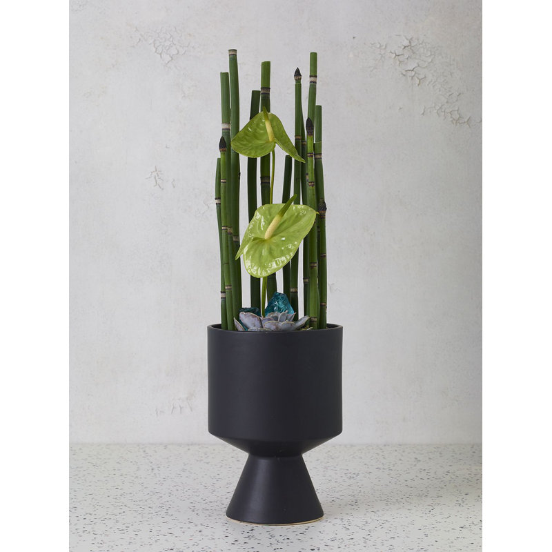 Pot de fleurs en céramique Patricia, H 9,25 po x l 6,5 po x P 6,5 po