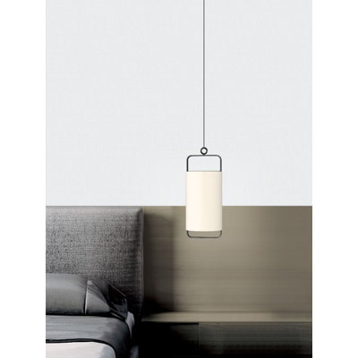 Luminaire suspendu 1 lumière DEL Cedra